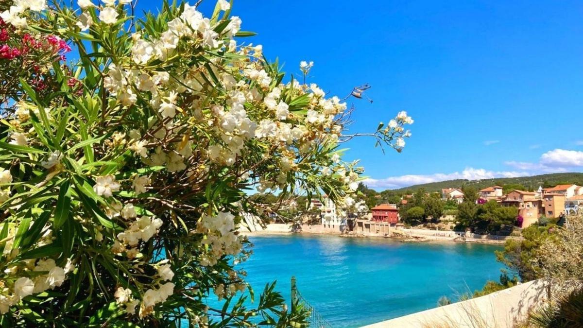 Superbe appartement cosy à 300 m de la plage Bandol Extérieur photo